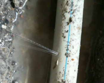 靖宇卫生间测漏水多少钱