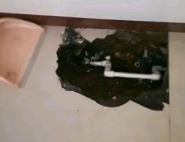 靖宇卫生间测漏水多少钱